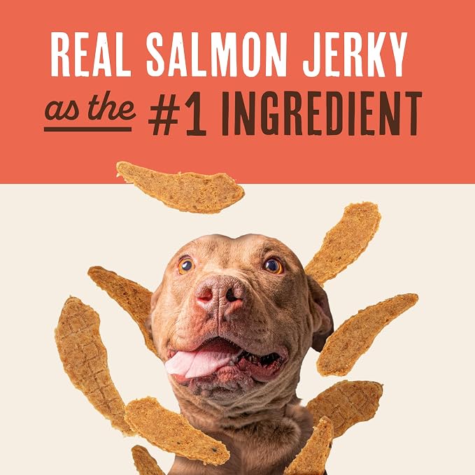 Waggin' Train Salmon Jerky Dog Treats for Skin and Coat Support, Made with 100% Real Salmon, No Grains and No Artificial Flavors or Colors, High Protein Dog Treat, Easily Digestible, 12 oz. Pouch