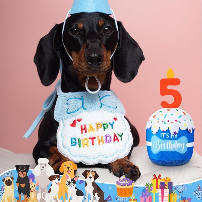 Dansydaisy Dog Birthday Cake Toy Squeaky Plush Gift,5th,Blue