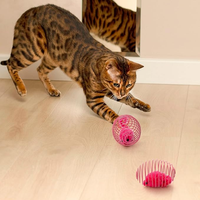 Jecery 5 Pcs Cat Toys Spring,Mouse,Pink