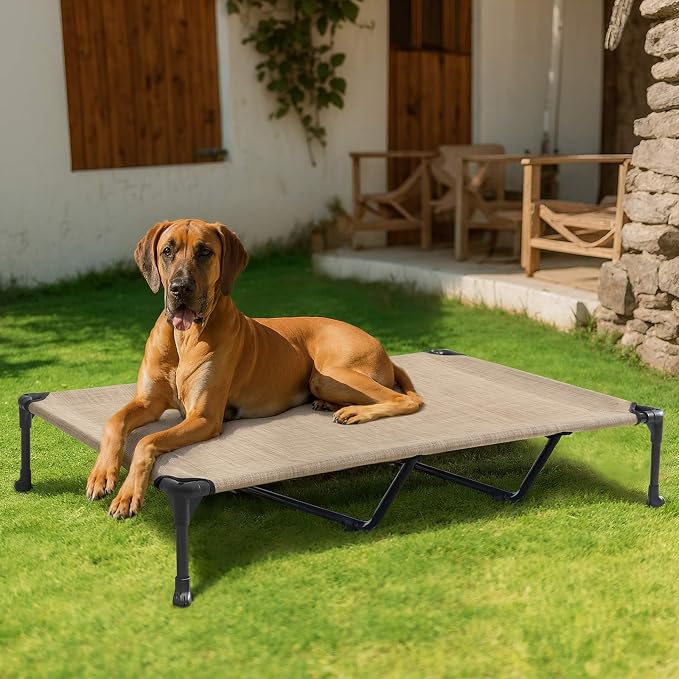 Veehoo Outdoor Elevated Dog Bed Large Sized Dogs, XXL Cooling Raised Dog Cots Beds Training Platform Off Ground Hammock with Breathable Mesh, No-Slip Feet, 59"x37.5", Beige Coffee | Off-ground training platform, portable camping hammock, breathable mes...