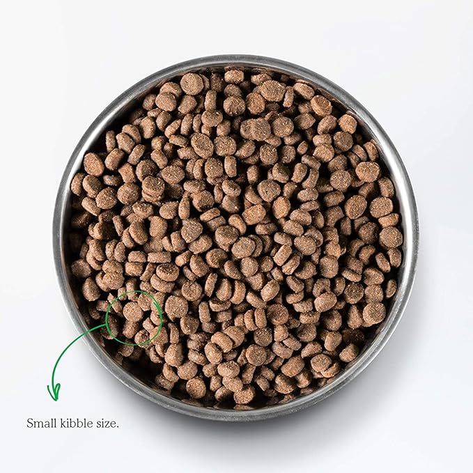 Open Farm Grain Free Dry Cat Food, Wild-Caught Whitefish Kibble, 2lb Bag | All Life Stages, High Protein, Prebiotic Fibers, 100% Traceable Ingredients, Non-GMO Fruits & Veggies.
