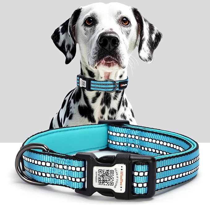 Personalized Dog Collar with QR Code Dog Tag, Light Blue S | Anti-lost, 1000D nylon, reflective, padded, XS-L(8"-24"), QR buckle shares lost pet profile, location alerts when scanned