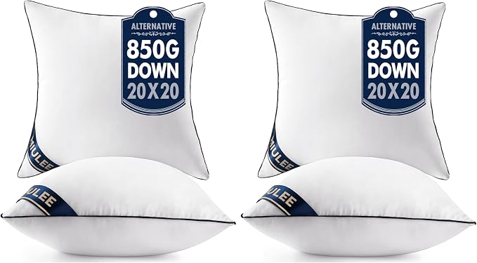 MIULEE 20x20 Pillow Inserts Set of 2 Throw Pillows 20 Inch Premium Down Alternative Pillow Inserts Decorative Pillow Stuffer for Sofa, Couch (20x20 inch, Set of 2) (Pack of 2)