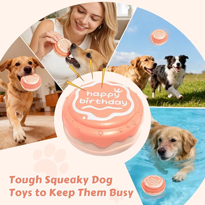 Dog Birthday Cake Toy Indestructible Squeaky Toys for Aggressive Chewers Outdoor Swimming Interactive Tough Chew Toys for Medium and Large Dogs