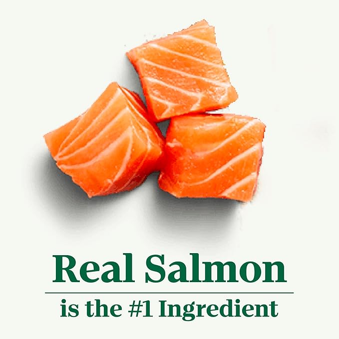 Nutro Wholesome Essentials Adult Dry Cat Food, Salmon & Brown Rice, 14 lb | Real salmon #1 ingredient, Omega-6 for skin & coat, prebiotic fiber for digestion, Vitamin E & Selenium antioxidants