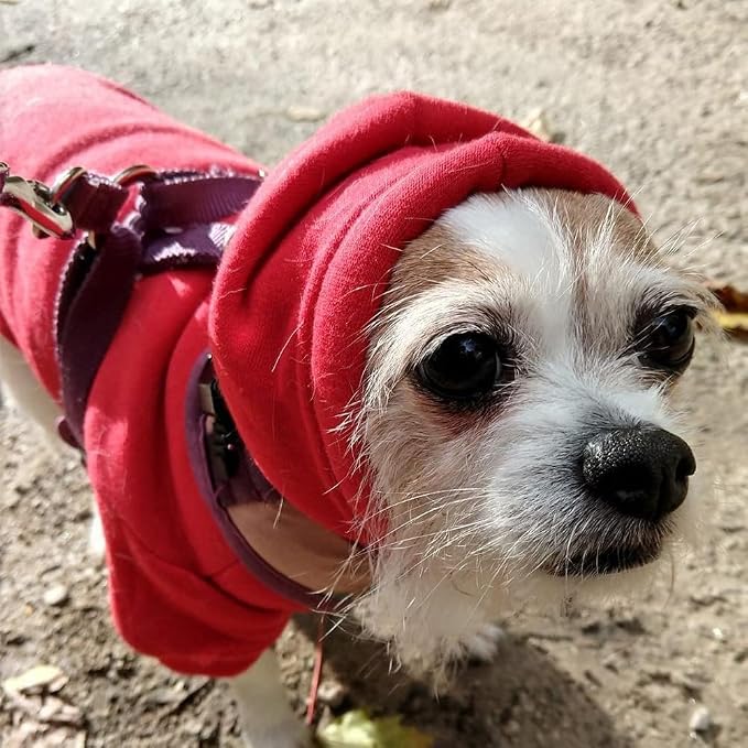 BINGPET Security Dog Hoodie, Pet Sweater Clothes with Leash Hole, Red | Warm Dog Sweatshirt for Small Medium Large Dogs, All-Season Cold Weather Comfort & Fit, Soft Winter Hooded Pullover Outfit