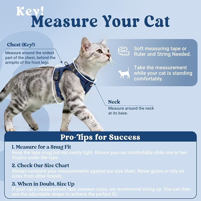 rabbitgoo Cat Harness and Leash Set, Easy-on with Neck Buckle, Navy Blue
