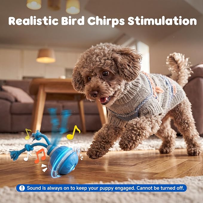 Interactive Small Dog Toys Ball, Smart Automatic Moving Rolling Dogs Toy | Interactive Dog Ball for Small & Medium Dogs, 3 Modes with Bird Chirps&RGB Lights, Bite-Resistant Rope, IP54 Waterproof(Blue)