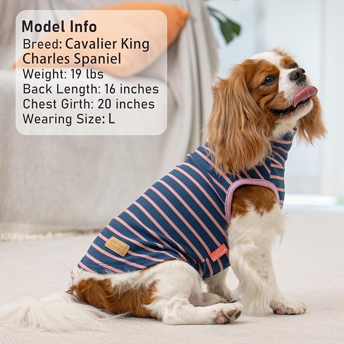 KYEESE 2Pack Dog Sweater for Small Dogs Soft Pet Coats Fleece Sweatshirt | Warm Turtleneck Dog Pullover Clothes, 4-Way Stretch & Lightweight Vest, Doggie Coat in Cold Weather, Daily Wear