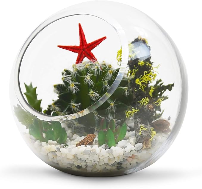 WGV Slant Cut Bowl Glass Vase Bulk, Width 5.5", Height 5.5", Clear Round Globe Planter Terrarium Orb, Candy Dish, Fruit Jar, Floral Container for Home Office Decor, 12 Pieces