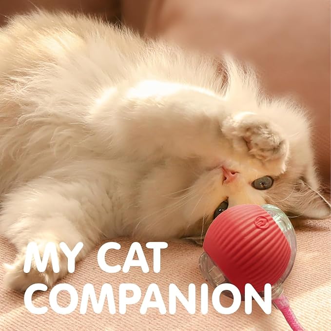 Durable Interactive Cat Toys for Indoor Cats, Smart Automatic Cat Chase Ball Toy, Upgraded Speedy Tail Kitten Toy for Bored Indoor Adult Pets (red, 01)