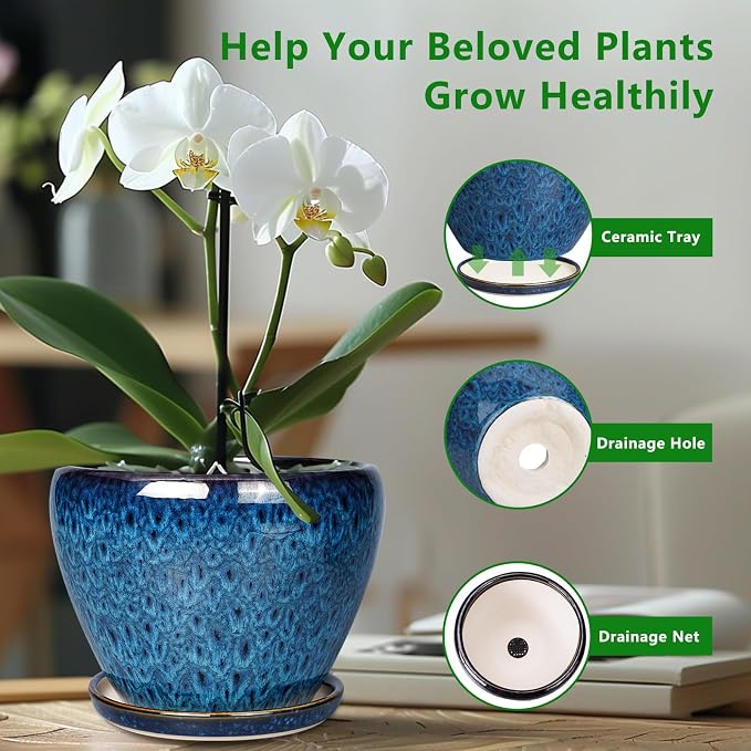 Ceramicfor 8 Inch Ceramic Plant Pot, Ceramic Planter Pot for Indoor Outdoor Plants, Round Flower Pot with Drainage Hole and Saucer, Blue