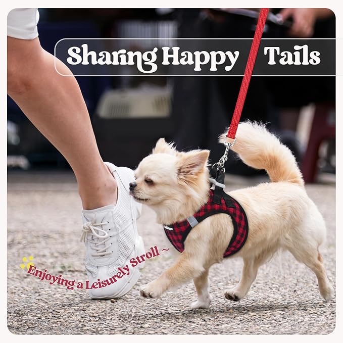 rabbitgoo Dog Harness Medium Sized and Leash Set, Step-in Puppy Pet Vest | Light, Soft, Breathable Air Mesh, Easy on and Remove with Hook & Loop, Secure Reflective for Walking, Red Check L