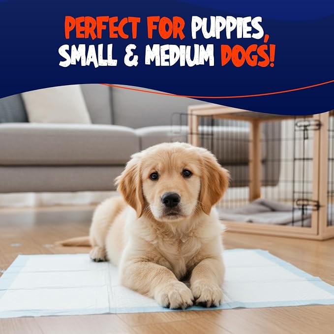 BPG Ultra Absorbent Pet & Puppy Pads – 30 Count 22"x22" Pee Pads for Dogs, Disposable Leak Proof Dog Training Pads, Quick Drying Underpads, Puppy Essentials for House Training - Brooklyn Pet Gear