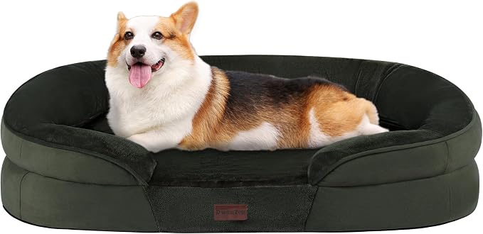 Dwanton Orthopedic Waterproof Medium Dog Bed Sofa, Gel Memory Foam, 36" | Egg-Crate Foam Dog Sofa, Washable Pet Bed with Four Sided Bolster Cushion, Removable Cover & Non-Slip Bottom, Green