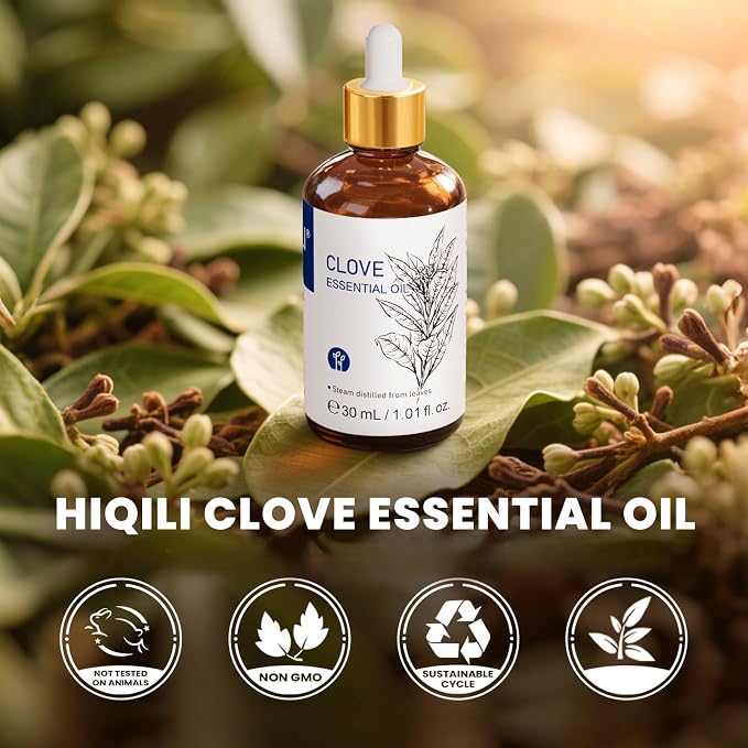 HIQILI 1 Fl Oz Clove Oil for Teeth and Gums, Oral Care, DIY Clean Spray, Aromatherapy - 30ml | Creating a Warm, Comforting Scent for Home, DIY Cleaning Spray, and Homemade Vandles —30mL / 1.01 fl oz