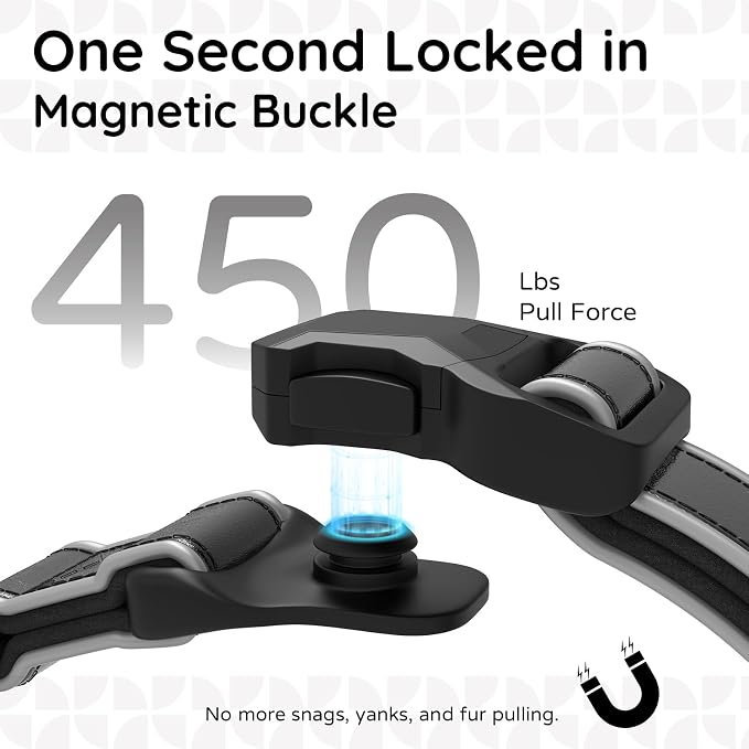 Leather AirTag Dog Collar, Magnetic Buckle, Reflective, Black M