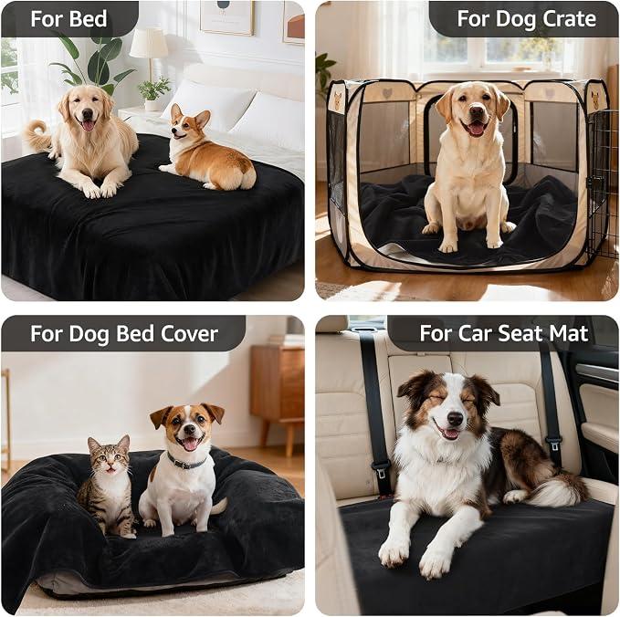 LOOBANI Waterproof Dog Blanket for Couch, Soft Couch Cover 50" x 60" Black | Pet Blanket for Medium Large Dogs, Double Side Liquid-Proof, Reversible Flannel Bed Throw for Sofa, Travel, Hair Resistant