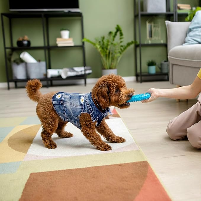 Dog Denim Jacket with Daisy Embroidery for Small Dogs, M, Chest 13-14 in | Ripped vintage jean vest for puppies, Chihuahuas and Pugs, cotton-blend outfits for spring summer fall festival and daily