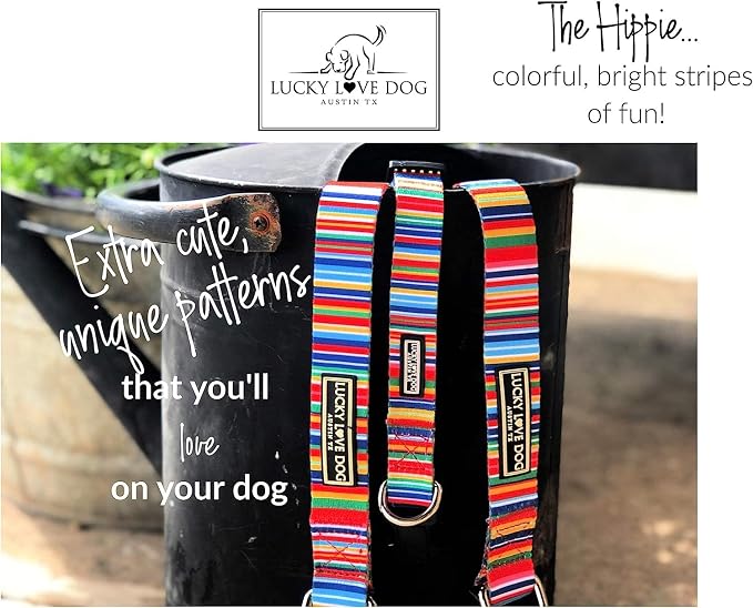 Lucky Love Dog Martingale Collar & Leash Set No Slip Cute – Hippie, Large