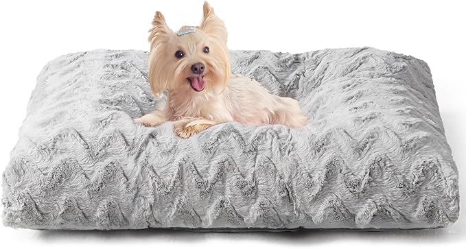 EHEYCIGA Washable Dog Beds for Small Dogs, 23x18 Inch Pet Bed, Grey | Plush and Comfy Kennel Pad, Soft Dog Crate Mat, Deluxe Sleeping Mattress for Puppy Up to 25 lbs