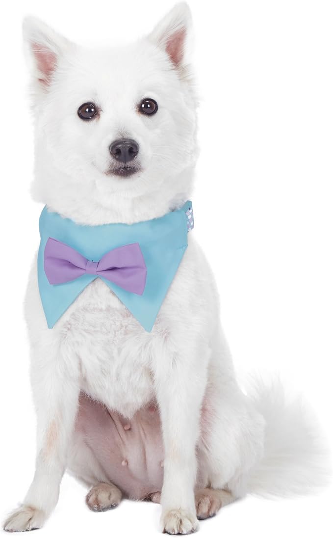 Blueberry Pet Sophisticated Pastel Blue Checker Adjustable Dog Bandana Collar with Bow Tie, Small, Neck 12"-16"