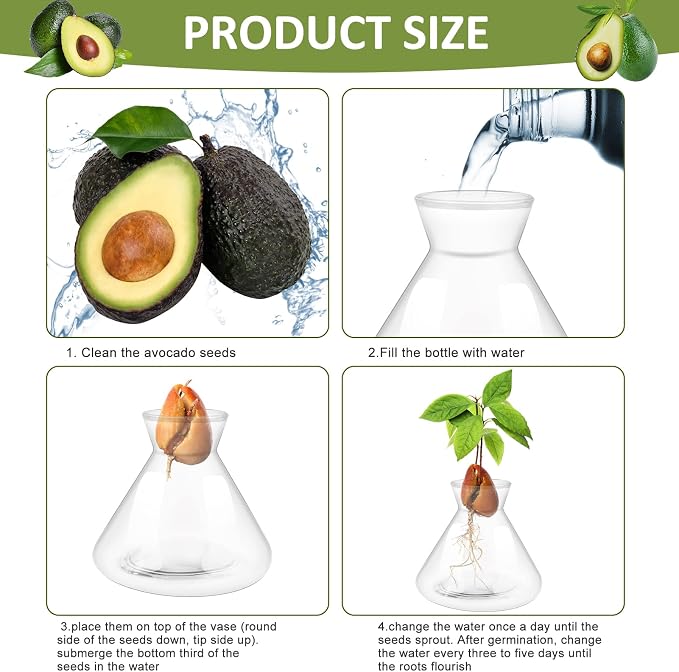 1 PCS Avocado Seed Starter Vases, Pit Planter Pot Avocado Tree Growing Kit Acorn Bulb Vase Grow Glass Blue Hydroponics Container for Gardening Lover