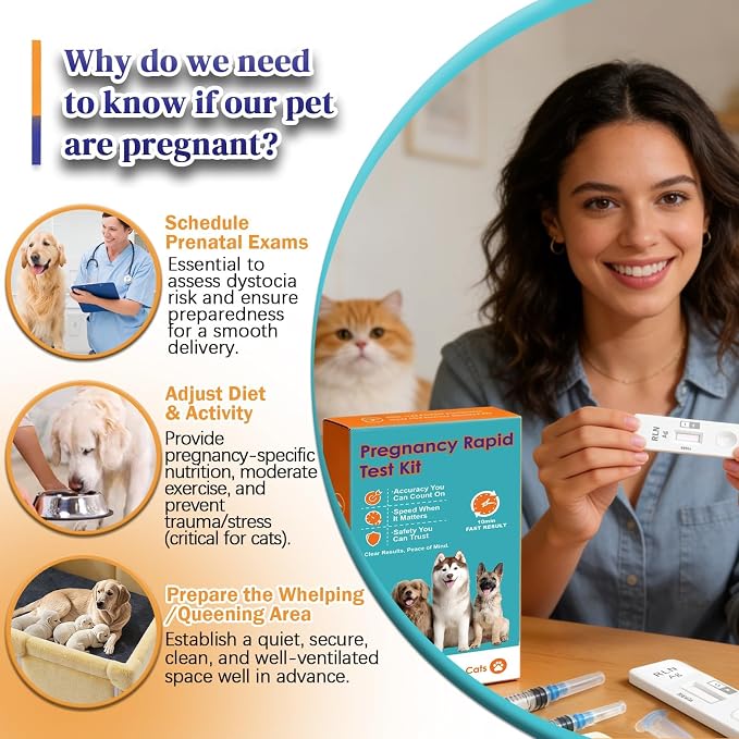 Home Pregnancy Test for Dog and Cat