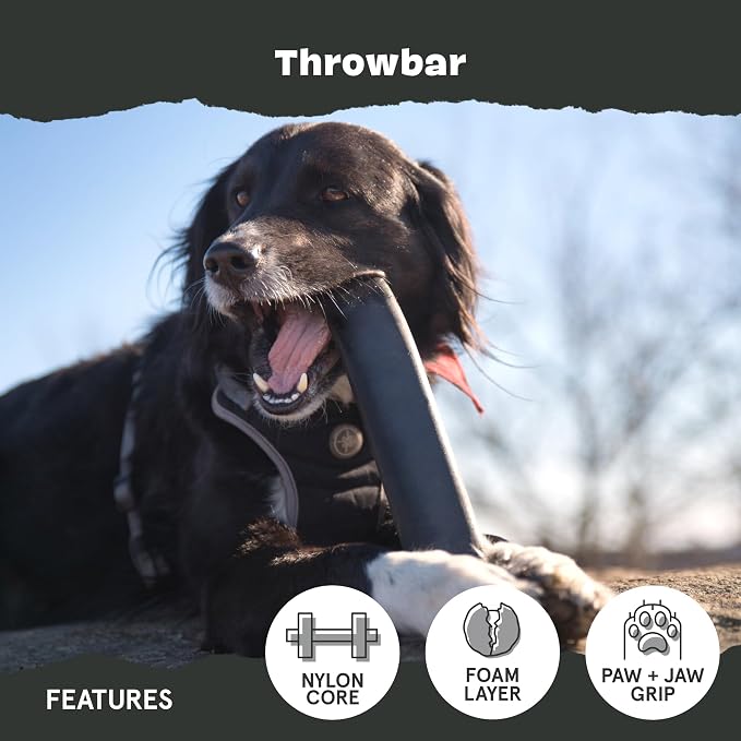 BarkBox Throwbar Super Chewer - Toy for Medium to Large Dogs