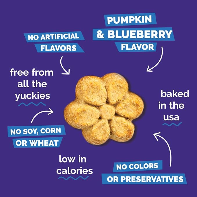 Fruitables Baked Dog Treats, Healthy Pumpkin Treat for Dogs, Low Calorie & Delicious, Made Without Wheat, Corn and Soy, Made in the USA, Allergy Friendly, Pumpkin and Blueberry Flavor, 32 oz