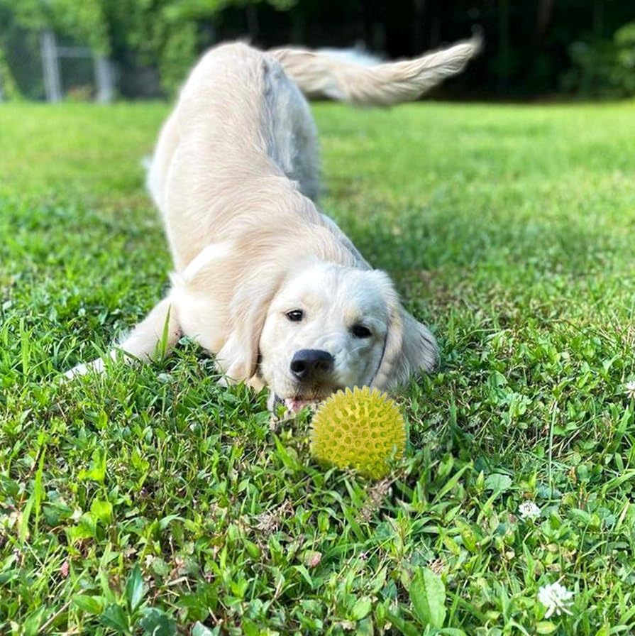 Cutie's PetBox Squeaky Rubber Spike Toy Ball for Small Dogs (2.5 Inch, Yellow)