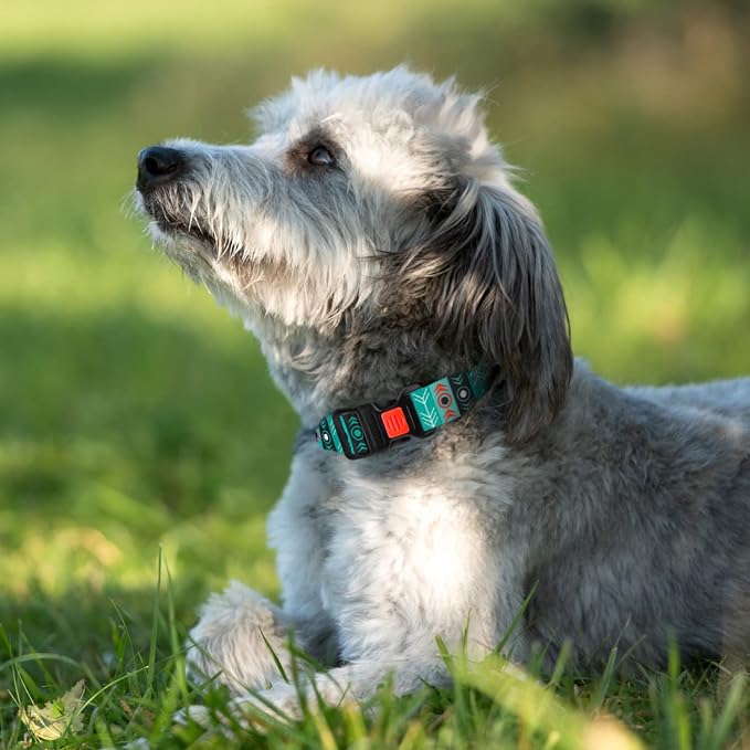 Nylon Dog Collar Buckle Tribal Pattern Pattern 1 12-16 inch