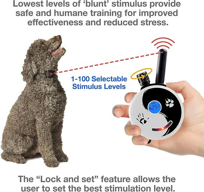 E-Collar ET-300 / ET-302 Dog Training Collar System with Remote - 1/2 Mile Range - Waterproof, Vibration, Sensation - Includes eOutletDeals Pet Towel (1 Dog System - ET-300 Zen)