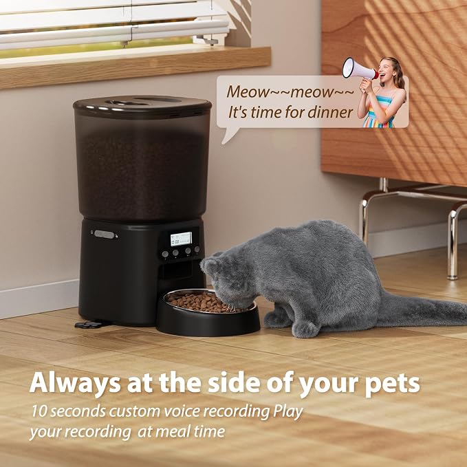 Petrice Automatic Cat Feeder, 4L/16Cups Cat Food Dispenser with Stainless Steel Bowl Programmable 30 Portions 6 Meals per Day, Timed Pet Feeder for Kitty Small Dogs with 10S Voice Record, Black