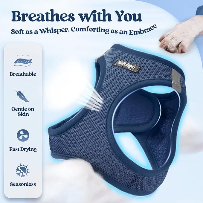 rabbitgoo Dog Harness Small Sized and Leash Set, Step-in Puppy Pet Vest | Light, Soft, Breathable Air Mesh, Easy on and Remove with Hook & Loop, Secure Reflective for Walking, Navy Blue M