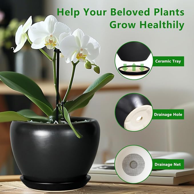 Ceramicfor Ceramic Pot for Plants - 10 Inch Plant Pot Indoor with Drainage Hole and Saucer Large Planter Decorative Planter Modern Outdoor Flower Pot for House Balcony Black