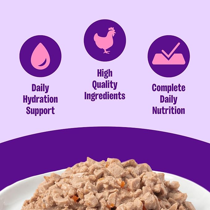 Wellness Complete Health Pate Adult Canned Wet Cat Food, Natural, Protein Rich, Grain Free, Chicken Entrée Recipe, 5.5 oz, Pack of 24 Cans