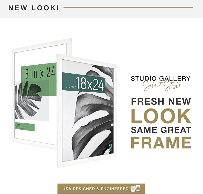 MCS Studio Gallery 18x24 Poster Frame White Woodgrain Engineered Wood, Vertical & Horizontal Wall Hanging Large Picture Frame for Photos, Posters & Art Prints (1-Pack)