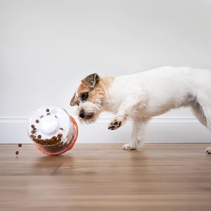 Nylabone Boop-N-Bobble Interactive Puzzle & Dog Treat Toy