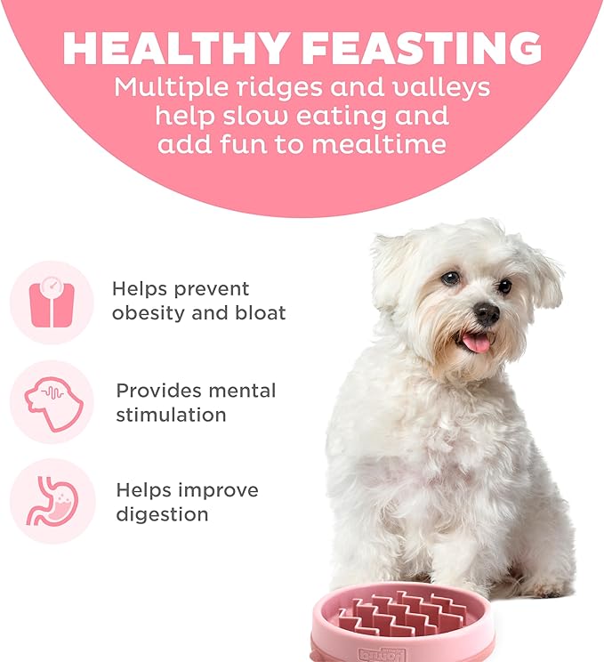 Outward Hound Fun Feeder Slo Bowl Dog Slow Feeder, Wave, Pink, 5.8"