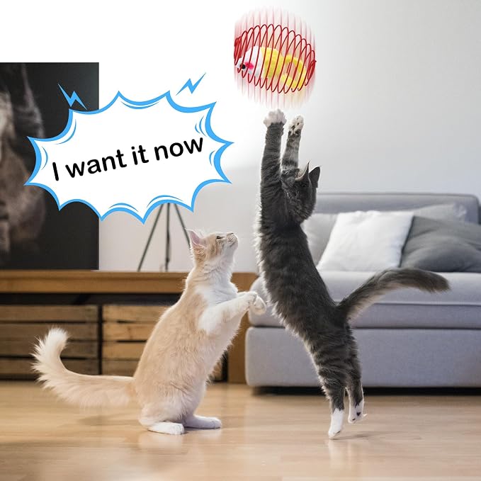 Jecery 5 Pcs Cat Toys Spring,Mouse and Bell,Mix Colors