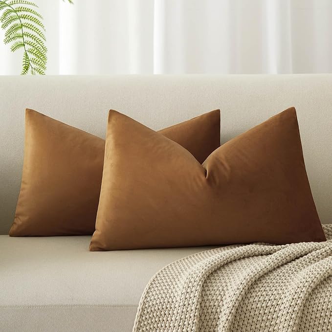 14x24 Velvet Throw Pillow Covers Set of 2 for Couch Bed Sofa,Light Brown | Decorative Soft Pillow Covers with Invisible Zipper for Couch Sofa Bed Living Room Bedroom Home Decor