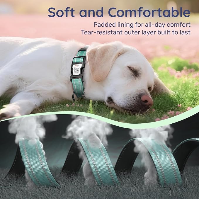 Dog Collar for Large Dogs with Smart QR Tags