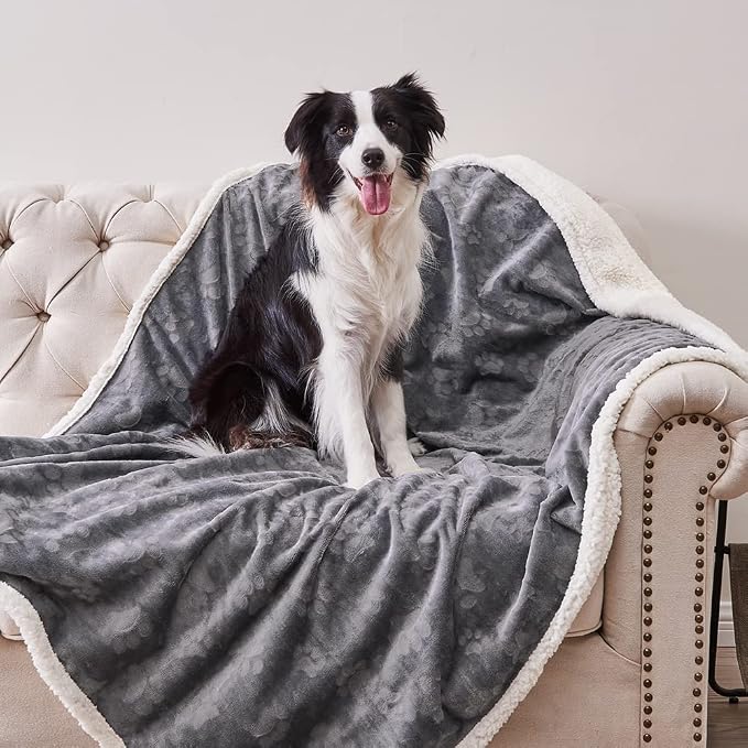 Waterproof Blanket for Bed, Dog Blankets for Large Dogs, Waterproof Cat Blanket Washable, Soft Sherpa Fleece Puppy Blanket, Reversible Throw Protector for Couch Car, 50"X60", Dark Grey