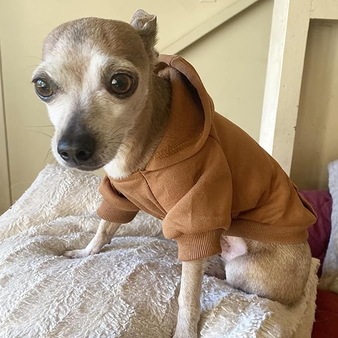 Soft Dog Hoodies for Small Dogs, Warm Fleece Puppy Clothes with Pocket | Jecikelon cold weather coat, cute puppy costume, breathable sweatshirt for dogs girl & boy, machine washable, easy on & off