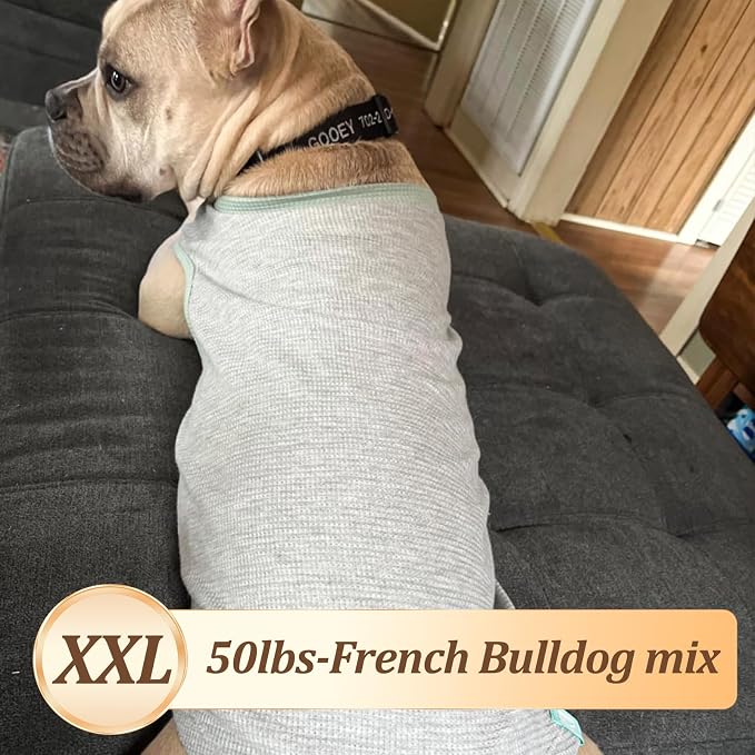 KYEESE 2Pack Waffle Dog Shirt for Medium Large Dogs Striped Dog Sweater | Cozy Warmth, Lightweight & Breathable, Gentle on Sensitive Skin, Stretchy & Free to Move, Comfortable Daily Wear