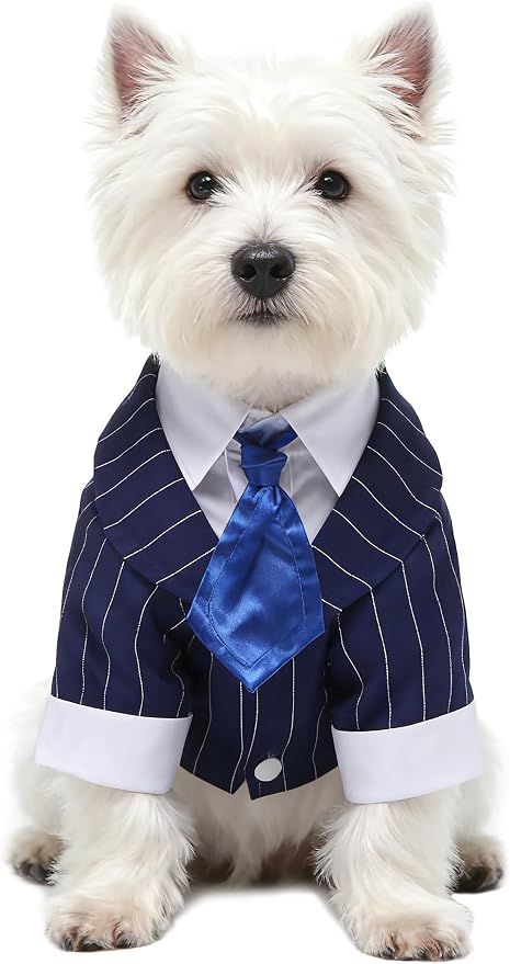 GabeFish Pets Wedding Jackets Suit for Dogs with Bow Tie Puppy Cat Formal Clothes Shirt Tuxedo (BlueStriped, M (Chest 15.3in/39cm)