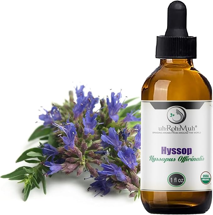 Organic Hyssop Essential Oil with Fresh Floral Scent, 100% Pure & Natural Essential Oil for Aromatherapy, Home Essential Diffuser Oil - USDA Certified Organic 1oz
