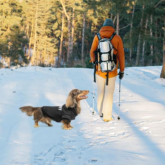 BINGPET Security Dog Hoodie, Dachshund Sweater Clothes with Leash Hole | Warm Dog Sweatshirt for Small Medium Large Dogs, All-Season Cold Weather Comfort & Fit, Soft Winter Hooded Pullover Outfit