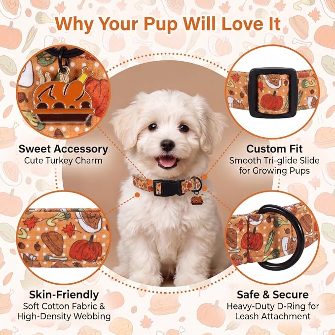 Fall Dog Collar, Thanksgiving Dog Collar for Small Dog, S